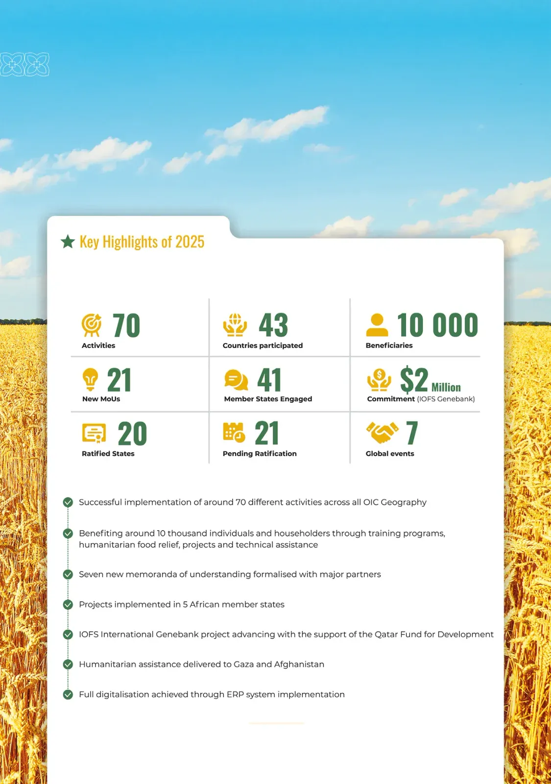Разворот IOFS at a Glance: ключевые показатели 2025 года