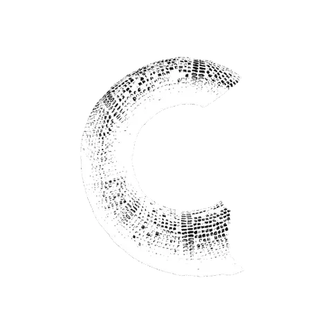 Буква C шрифта Republica